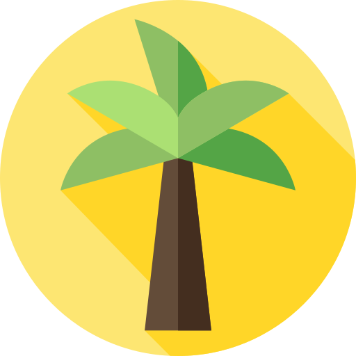 Palm tree